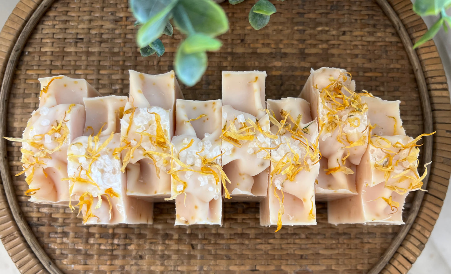 Citrus Burst Bar
