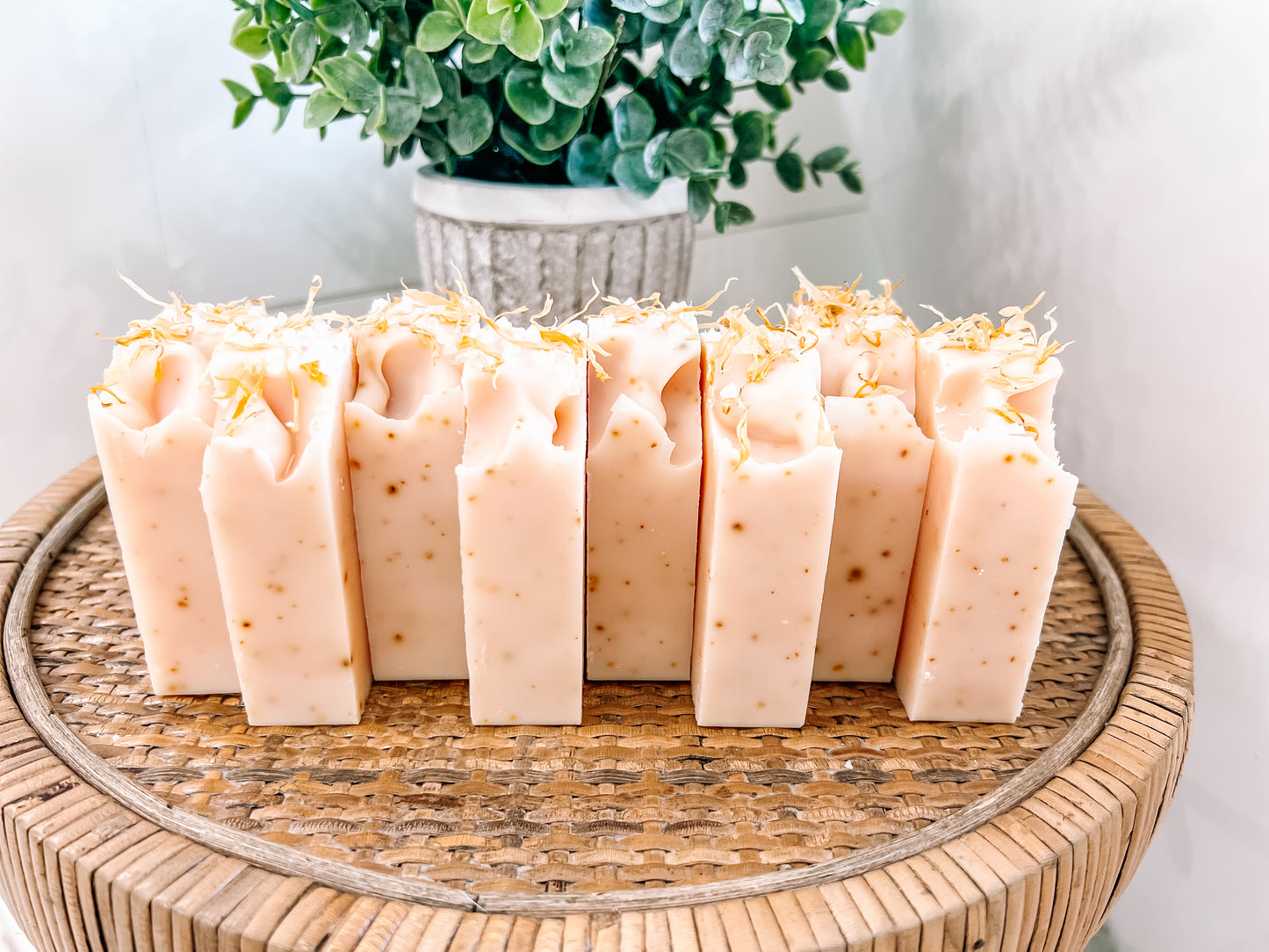 Citrus Burst Bar